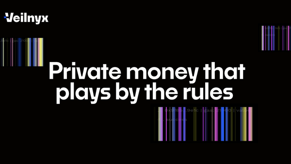 Evolving the Vision: Labyrinth is now Veilnyx.